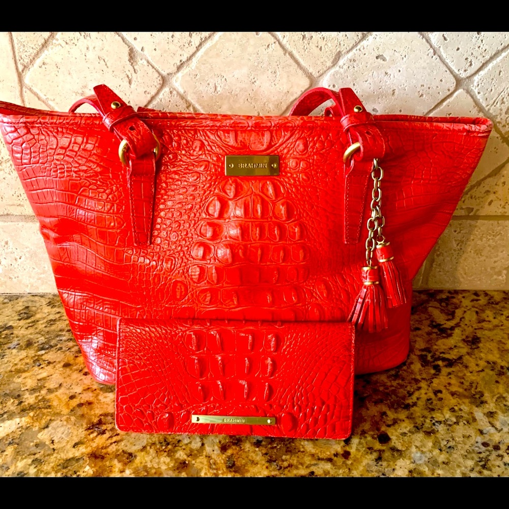 Brahmin Dragon Fruit Purse & Matching Wallet